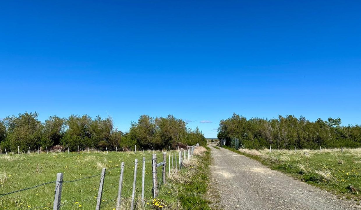 WhatsApp Image 2025-12-04 at 7.42.25 AM (9)