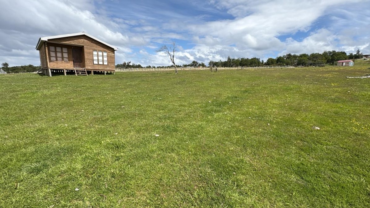 WhatsApp Image 2025-12-05 at 2.29.31 PM