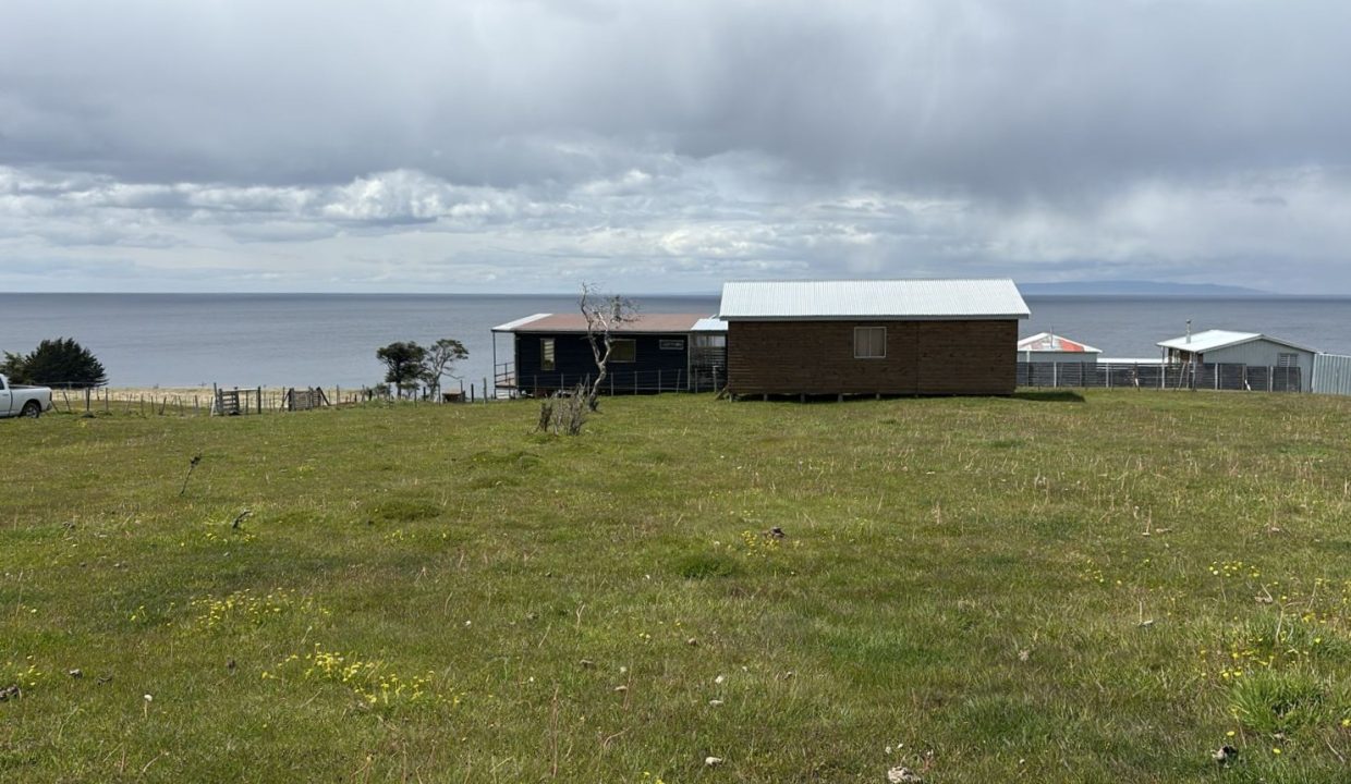 WhatsApp Image 2025-12-05 at 2.31.05 PM