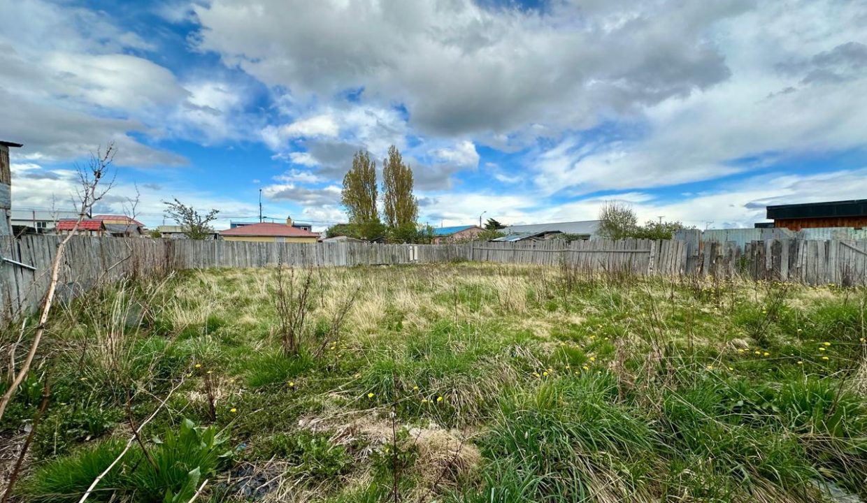 WhatsApp Image 2025-12-15 at 4.39.40 PM (3)