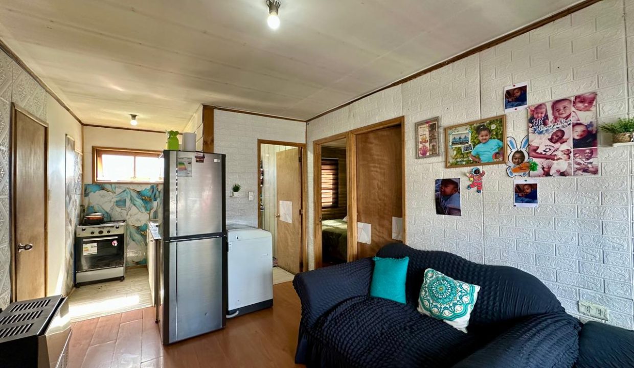 WhatsApp Image 2025-12-21 at 6.52.55 PM (3)