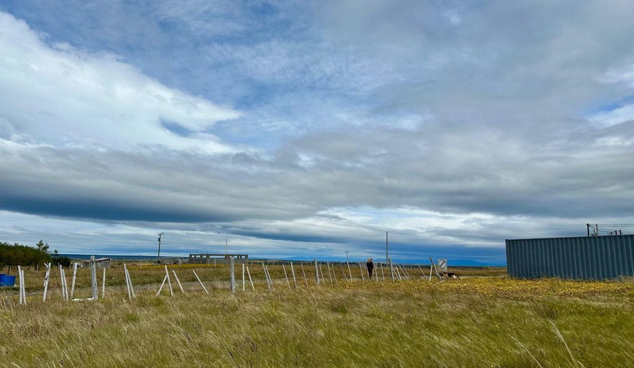 9b5bb524-441b-4c8f-853a-faac8ca7763e