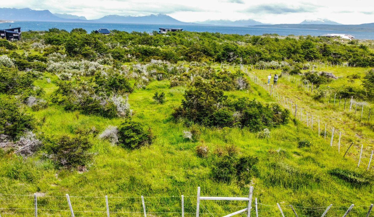 IMG-20241208-WA0006 (1)