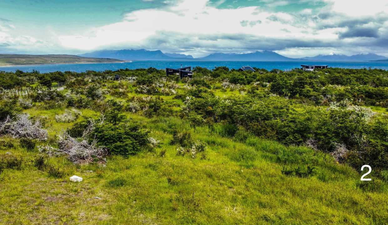 IMG-20241208-WA0011 (1)