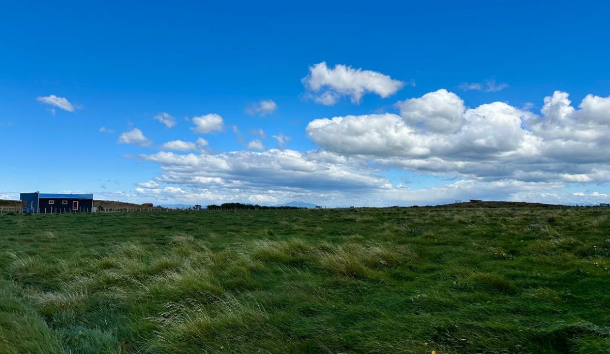 WhatsApp Image 2026-01-08 at 8.17.44 AM