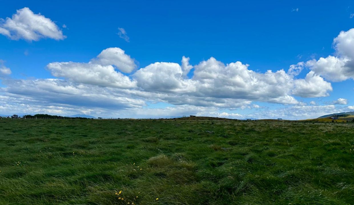 WhatsApp Image 2026-01-08 at 8.17.44 AM (3)