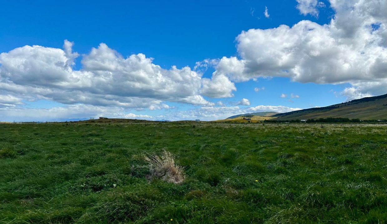 WhatsApp Image 2026-01-08 at 8.17.44 AM (4)