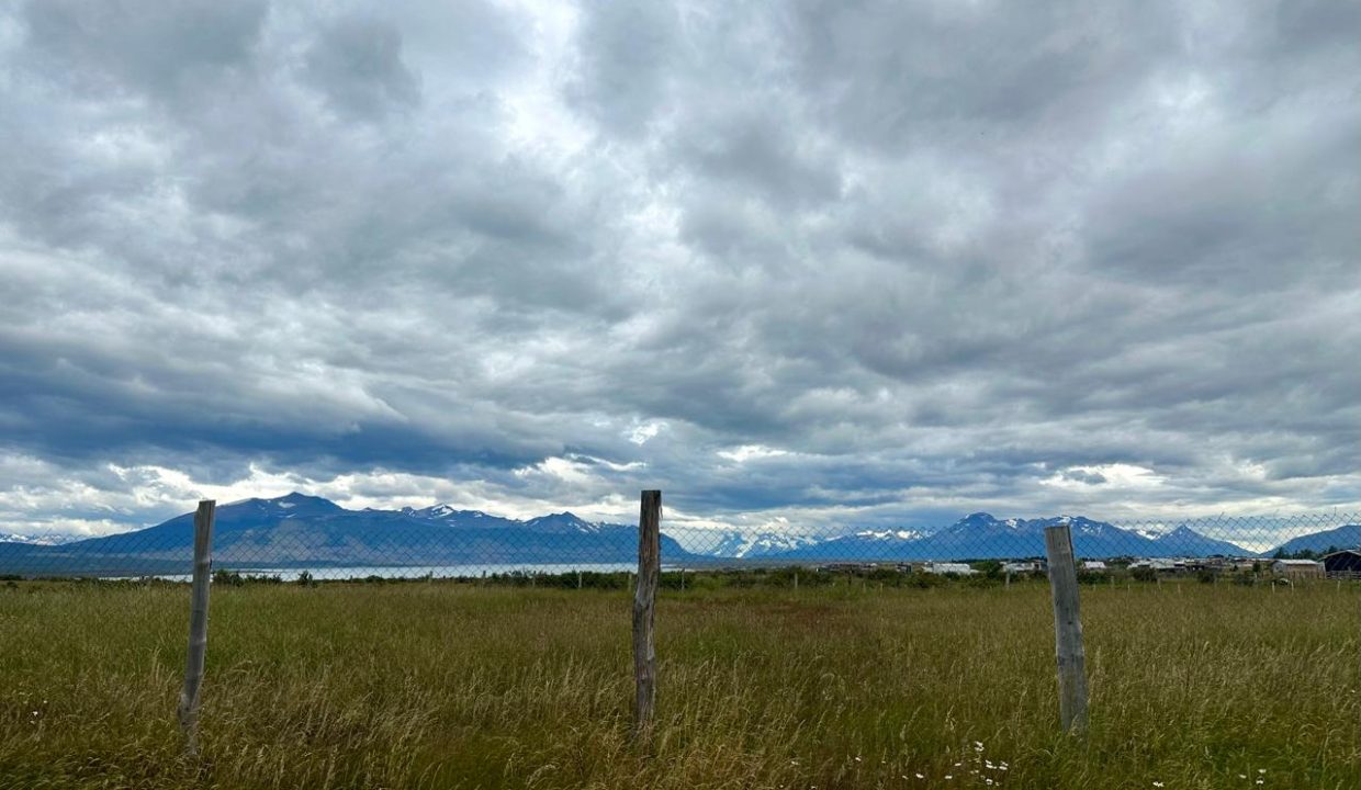 WhatsApp Image 2026-01-14 at 10.23.24 AM (1)