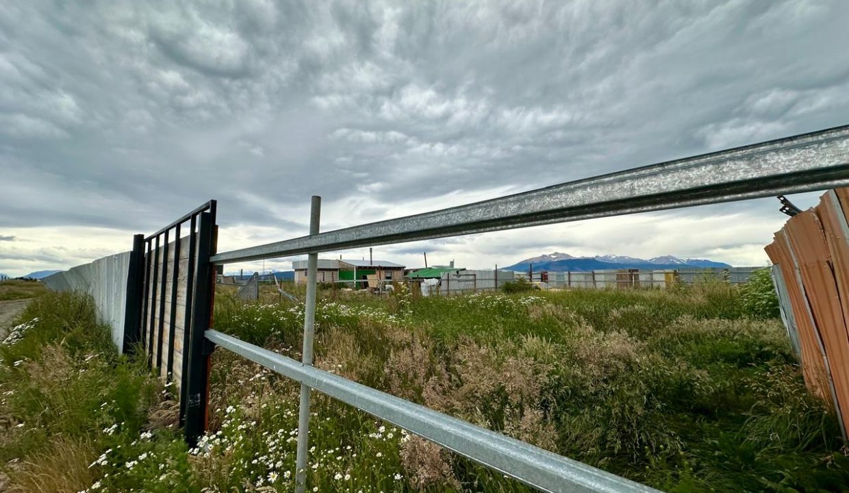 WhatsApp Image 2026-01-16 at 3.51.34 PM (21)