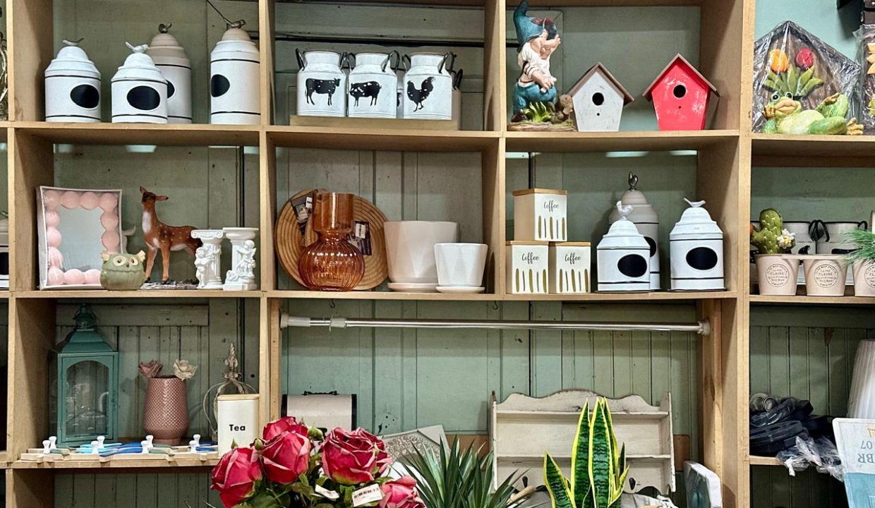 WhatsApp Image 2026-01-19 at 12.49.15 AM (4)