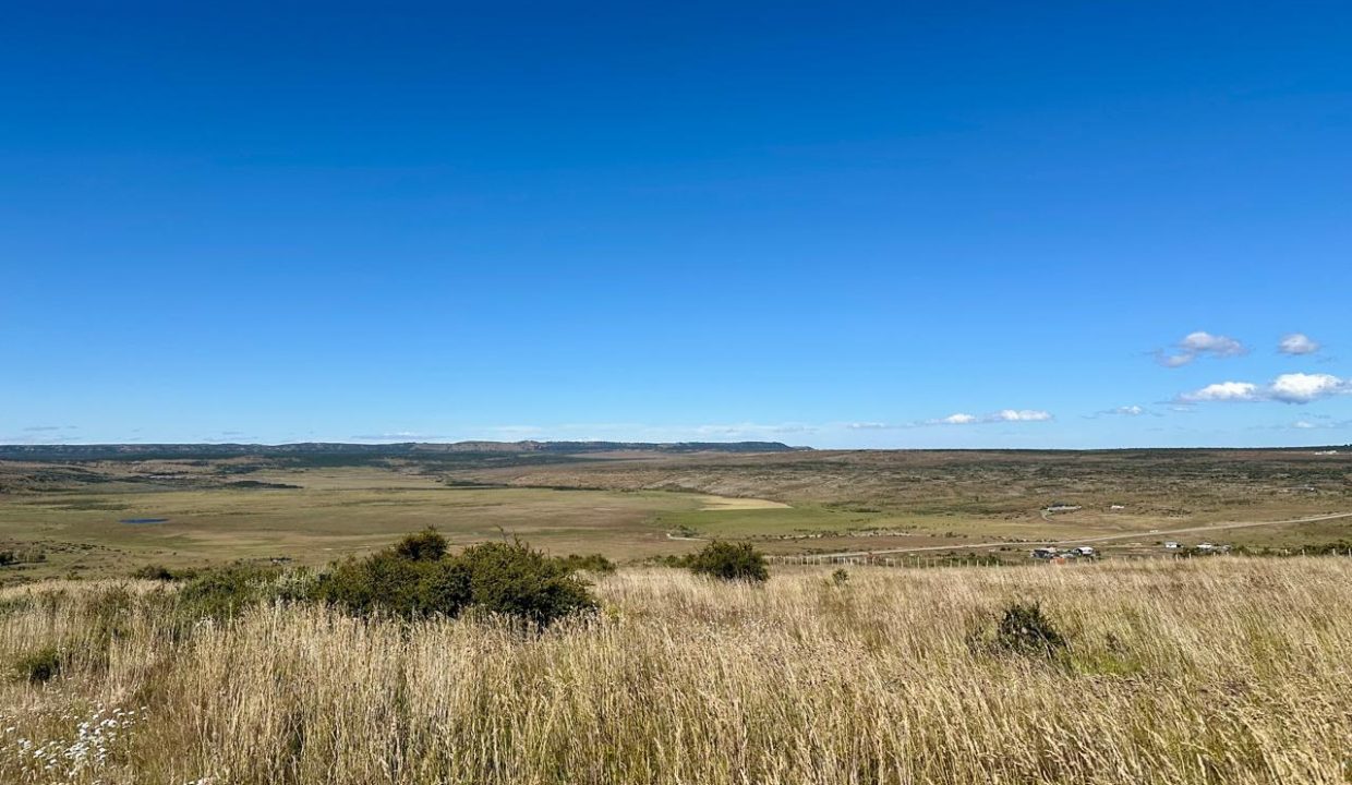 WhatsApp Image 2026-01-19 at 6.51.12 PM (1)