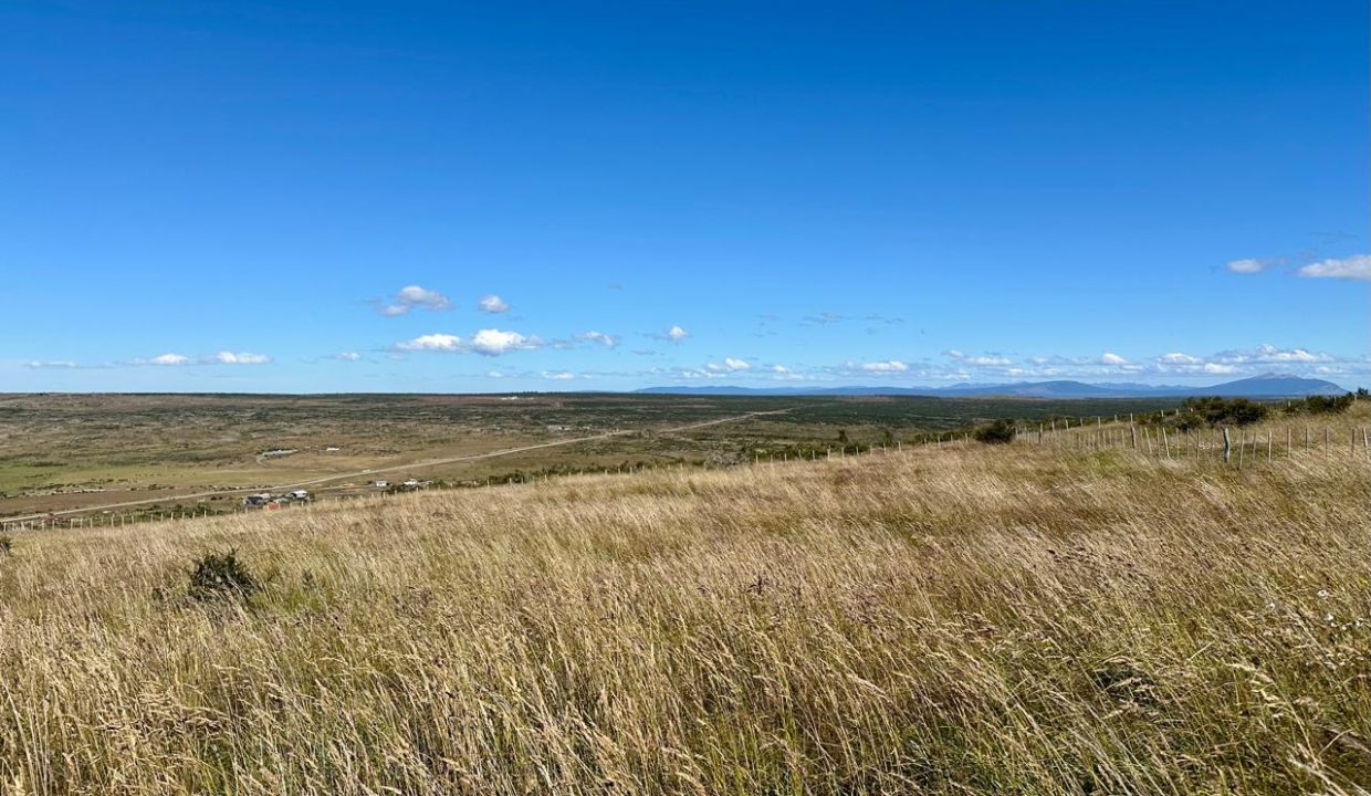 WhatsApp Image 2026-01-19 at 6.51.12 PM