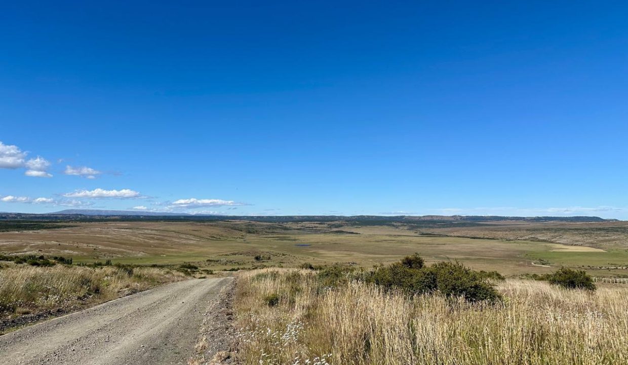 WhatsApp Image 2026-01-19 at 6.51.12 PM (2)