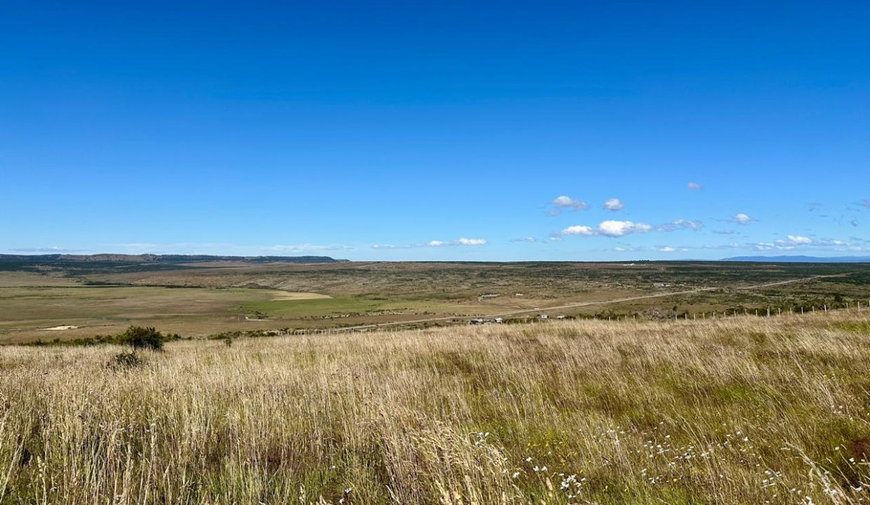 WhatsApp Image 2026-01-19 at 6.51.12 PM (3)