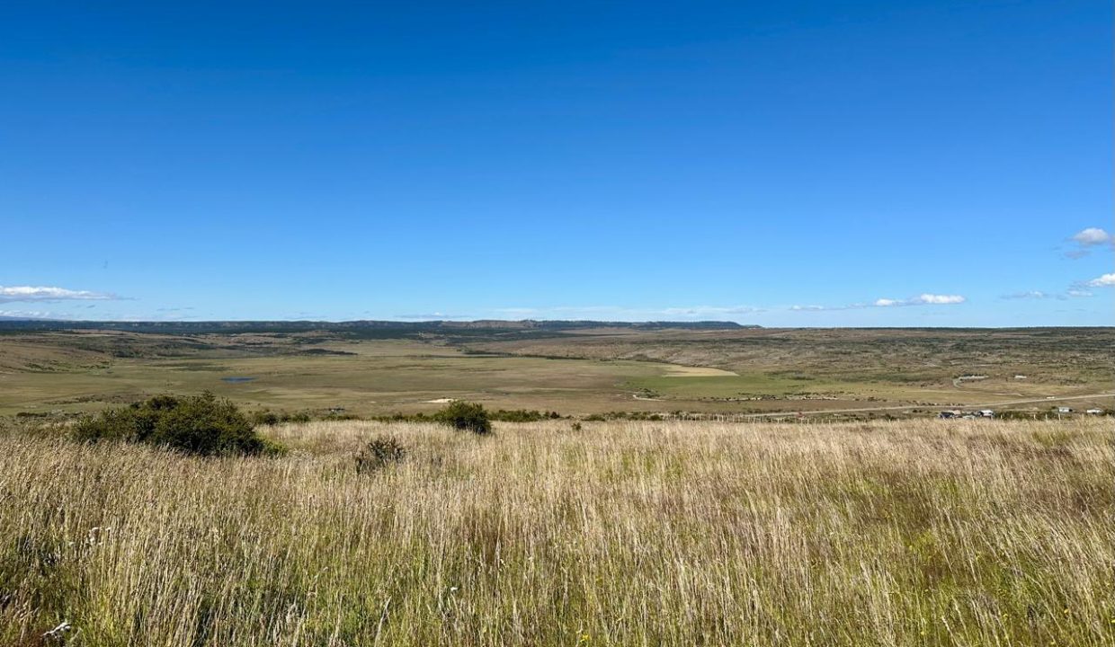 WhatsApp Image 2026-01-19 at 6.51.12 PM (4)