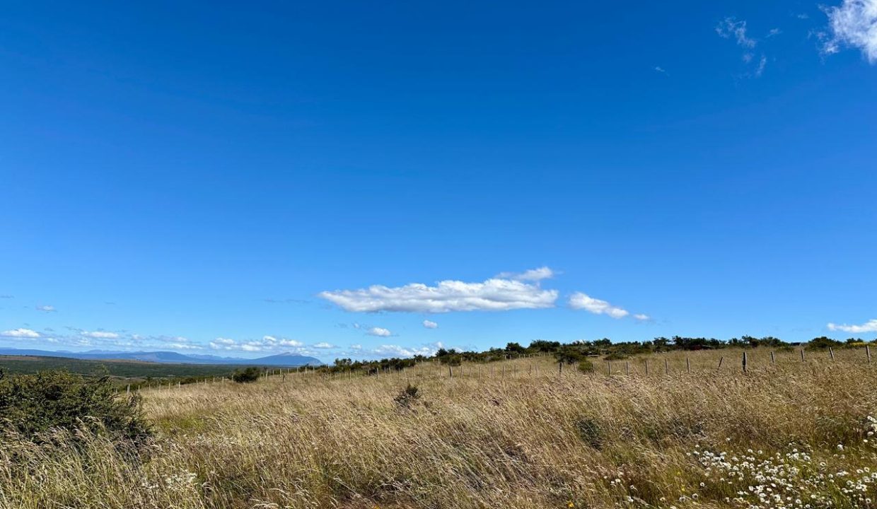 WhatsApp Image 2026-01-19 at 6.51.12 PM (5)