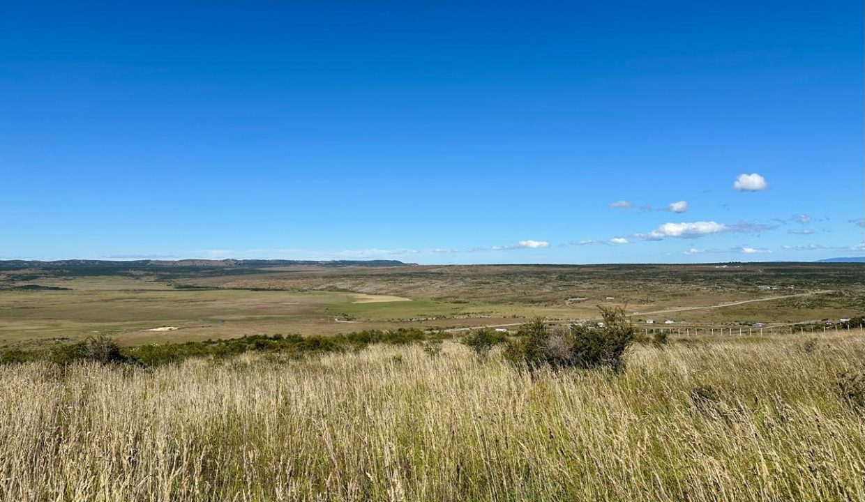 WhatsApp Image 2026-01-19 at 6.51.12 PM (6)