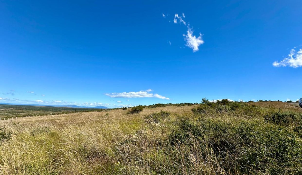 WhatsApp Image 2026-01-19 at 6.51.13 PM (1)