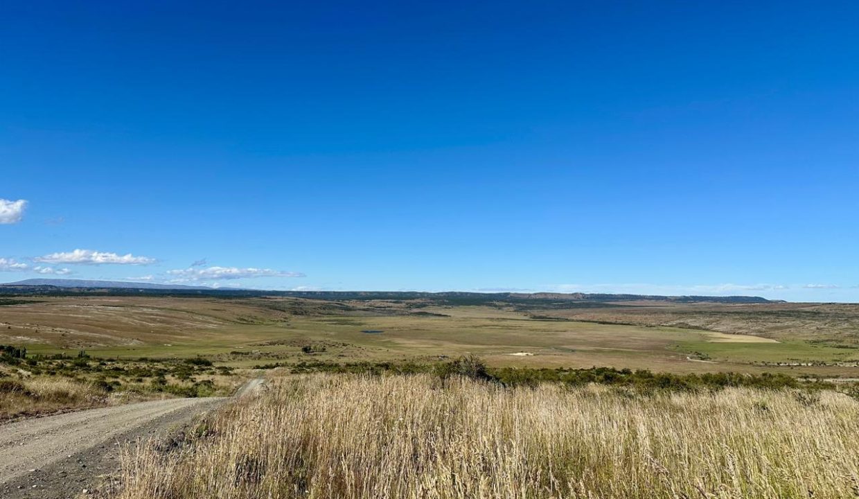 WhatsApp Image 2026-01-19 at 6.51.13 PM (3)