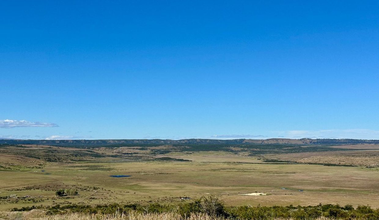 WhatsApp Image 2026-01-19 at 6.51.13 PM (4)