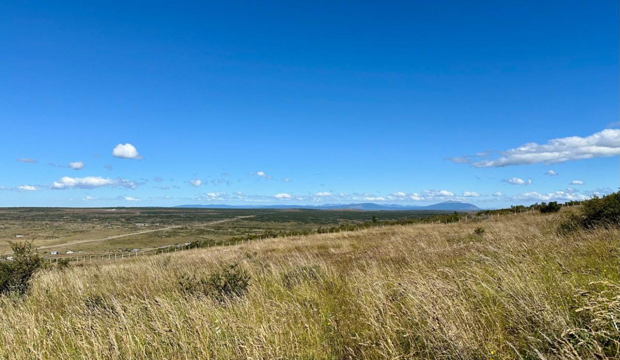 WhatsApp Image 2026-01-19 at 6.51.13 PM (6)