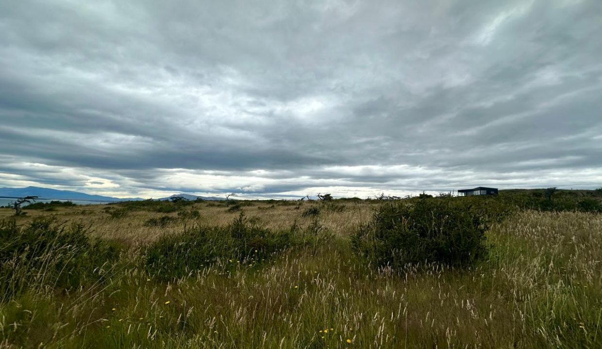 WhatsApp Image 2026-01-24 at 9.10.06 AM (1)