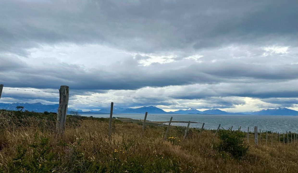 WhatsApp Image 2026-01-24 at 9.10.06 AM (3)