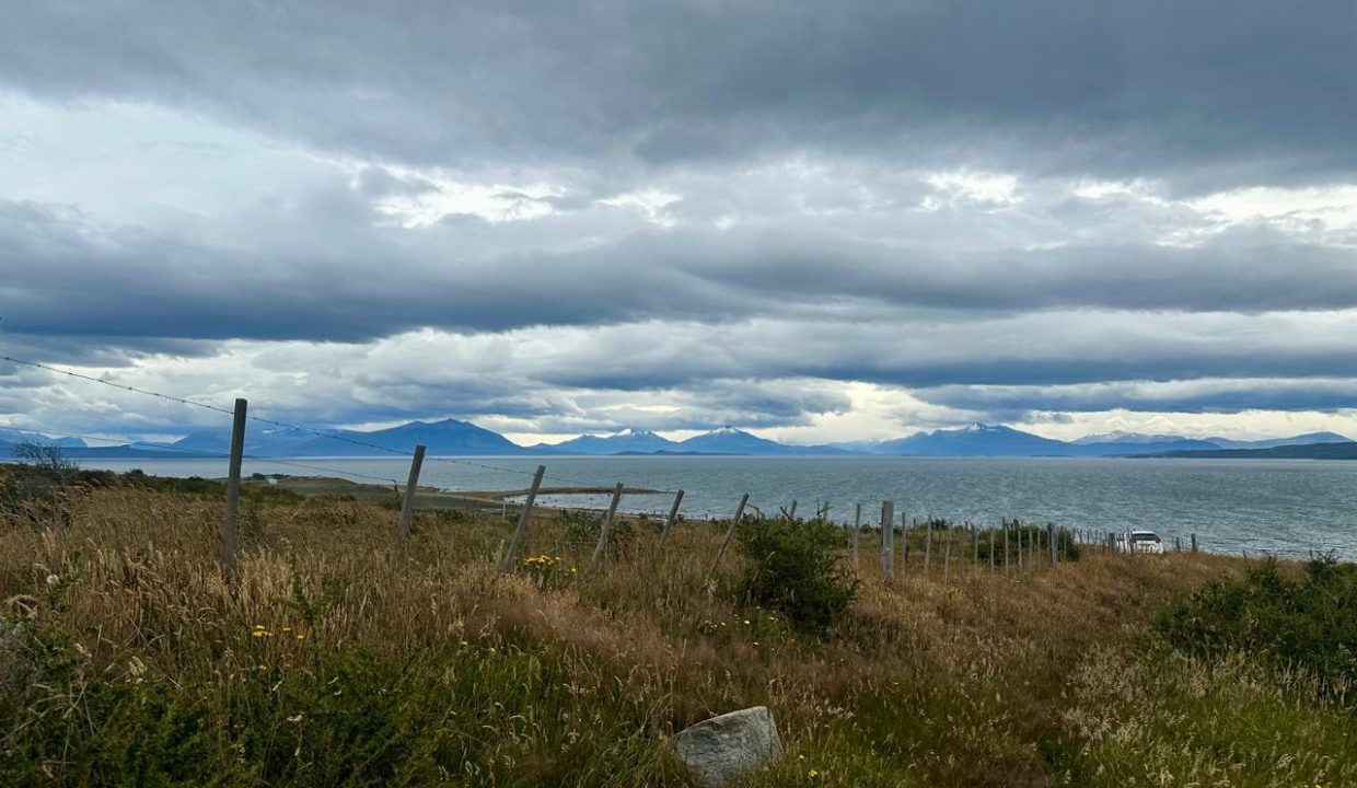 WhatsApp Image 2026-01-24 at 9.10.06 AM (4)