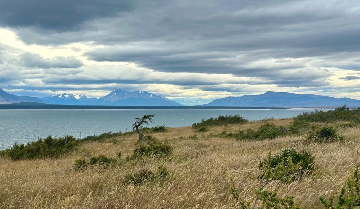 WhatsApp Image 2026-01-24 at 9.10.07 AM (1)