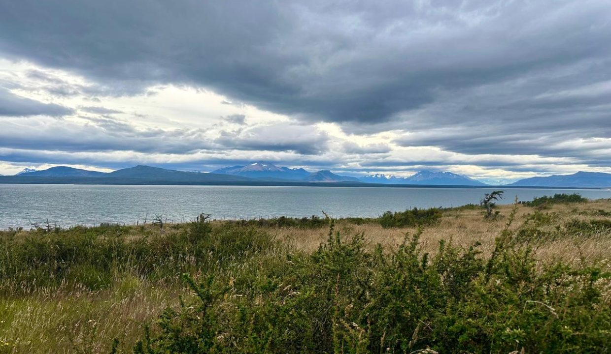 WhatsApp Image 2026-01-24 at 9.10.07 AM