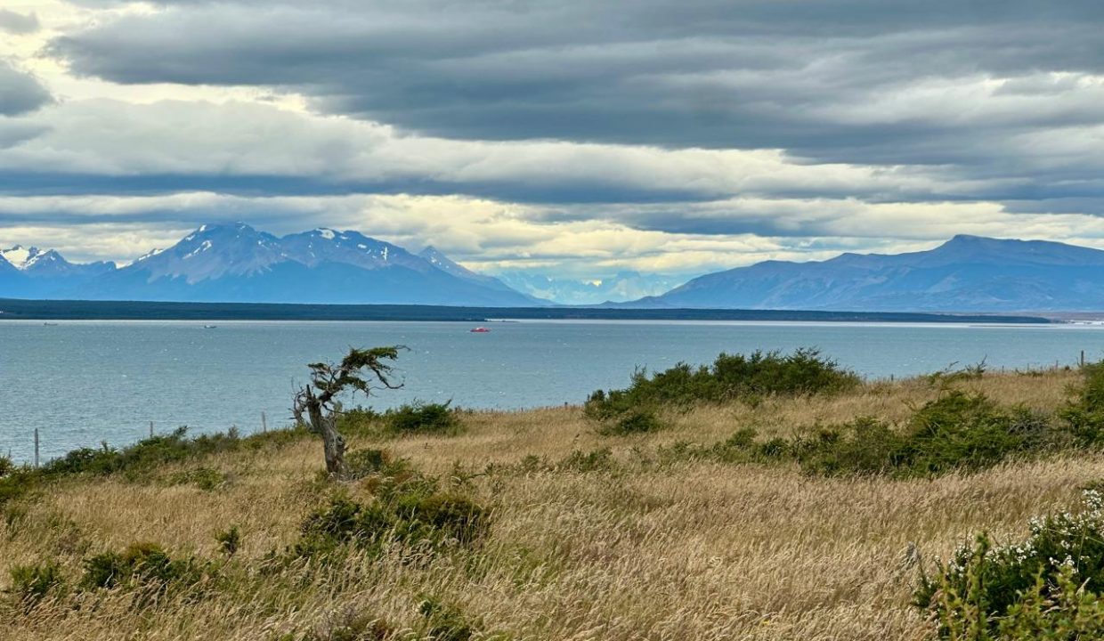 WhatsApp Image 2026-01-24 at 9.10.07 AM (2)