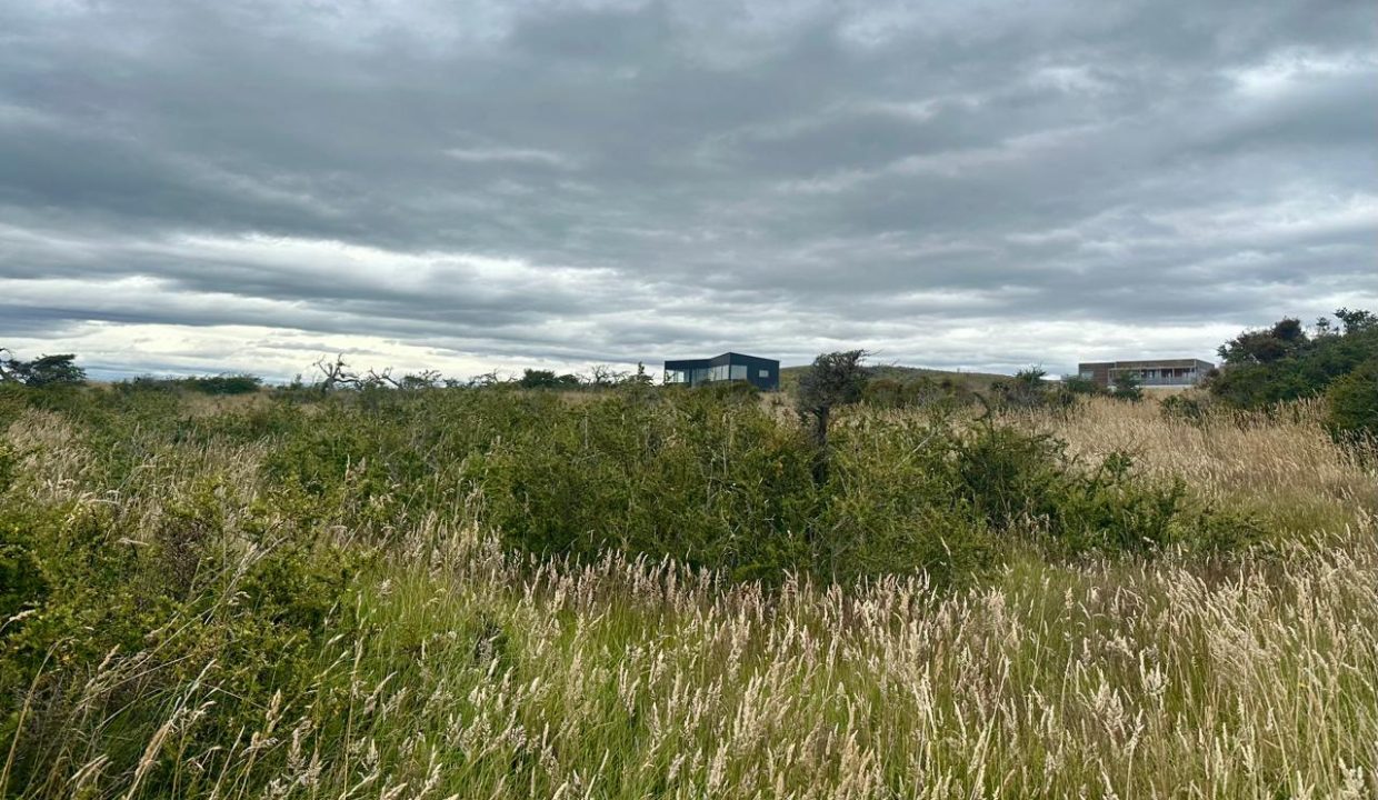 WhatsApp Image 2026-01-24 at 9.10.07 AM (3)