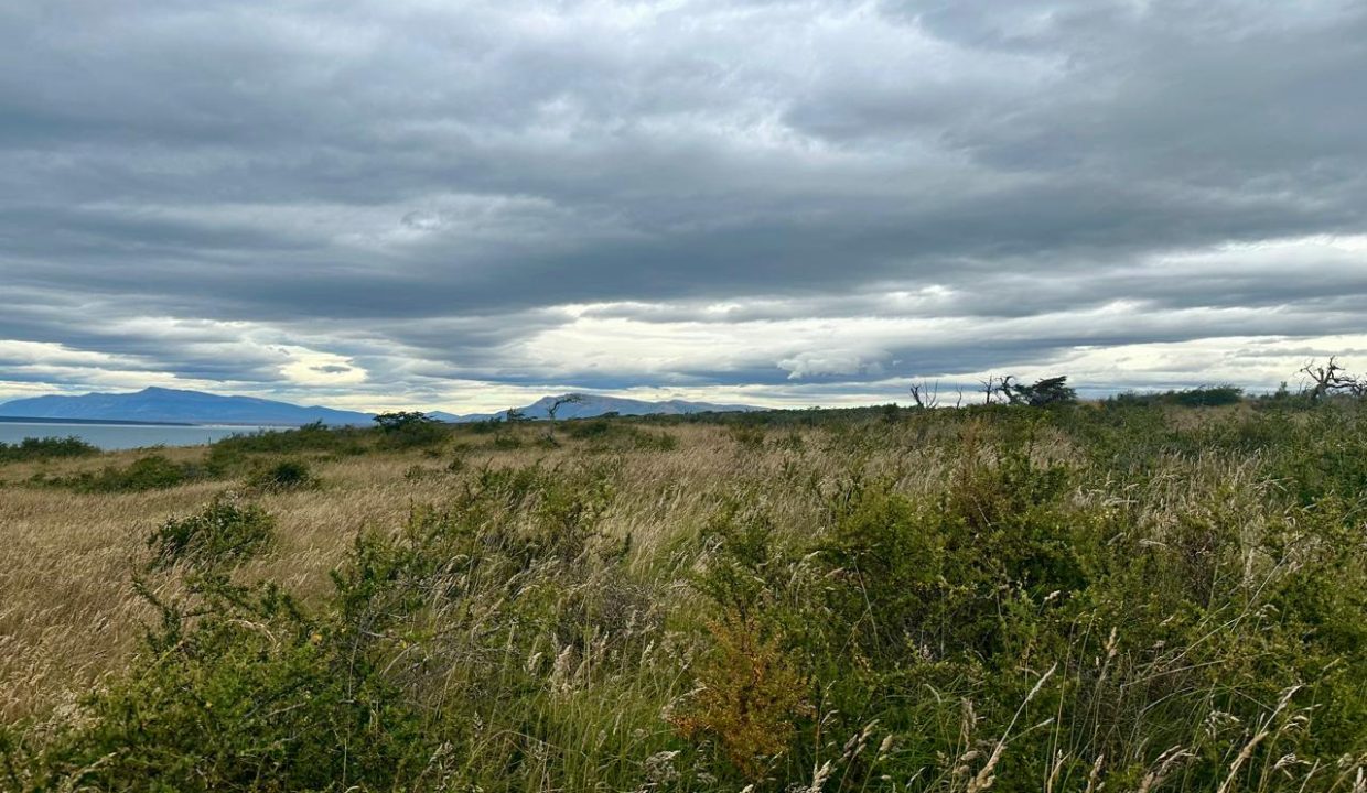 WhatsApp Image 2026-01-24 at 9.10.07 AM (4)