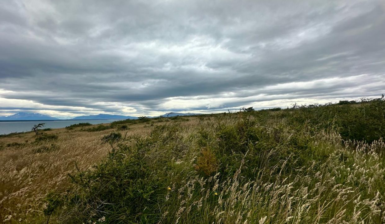 WhatsApp Image 2026-01-24 at 9.10.07 AM (5)