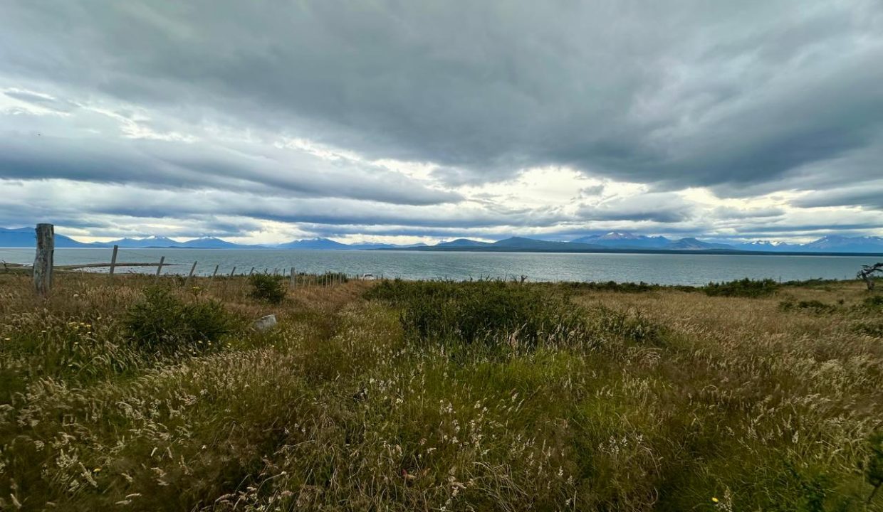 WhatsApp Image 2026-01-24 at 9.10.07 AM (6)