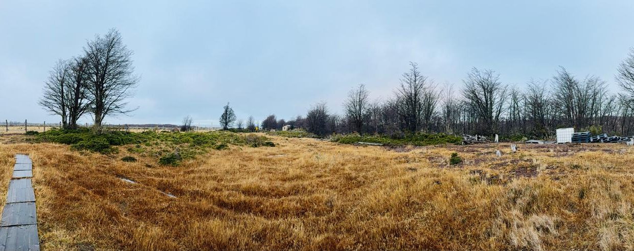 WhatsApp Image 2026-02-04 at 9.30.26 PM (1)