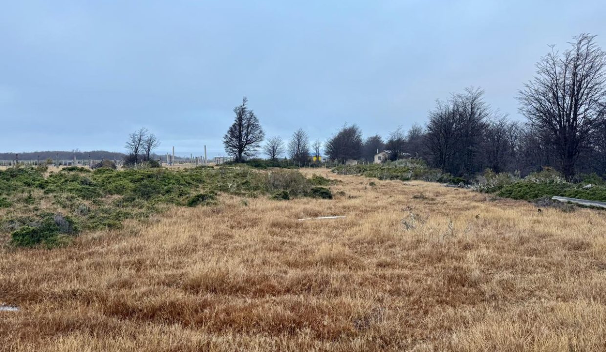 WhatsApp Image 2026-02-04 at 9.30.26 PM