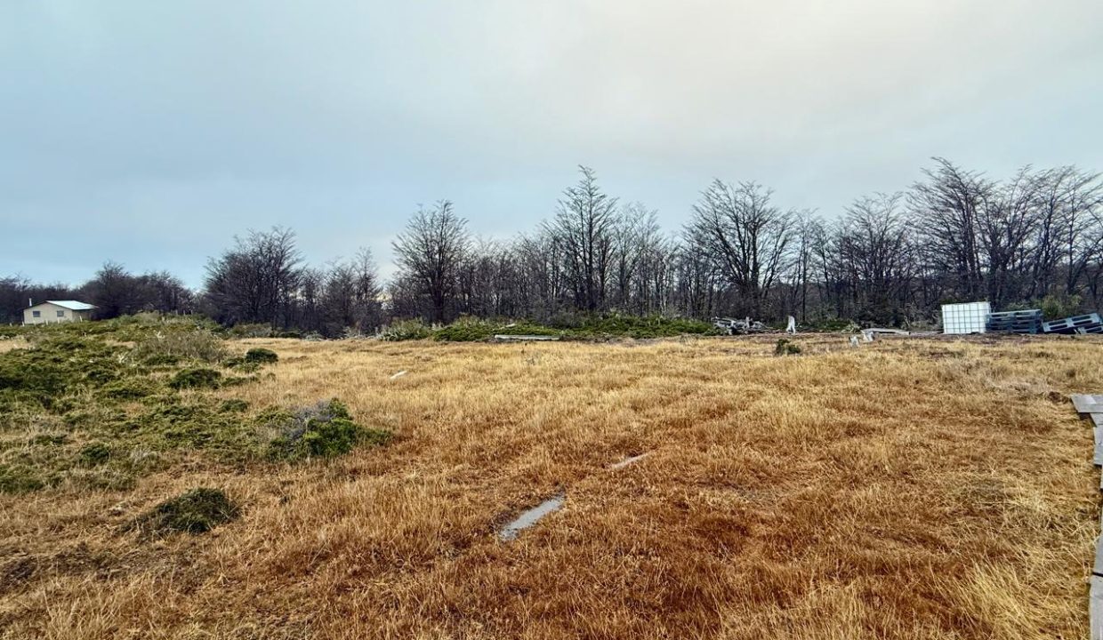 WhatsApp Image 2026-02-04 at 9.30.26 PM (2)