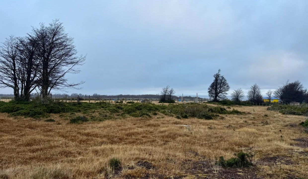 WhatsApp Image 2026-02-04 at 9.30.27 PM (1)