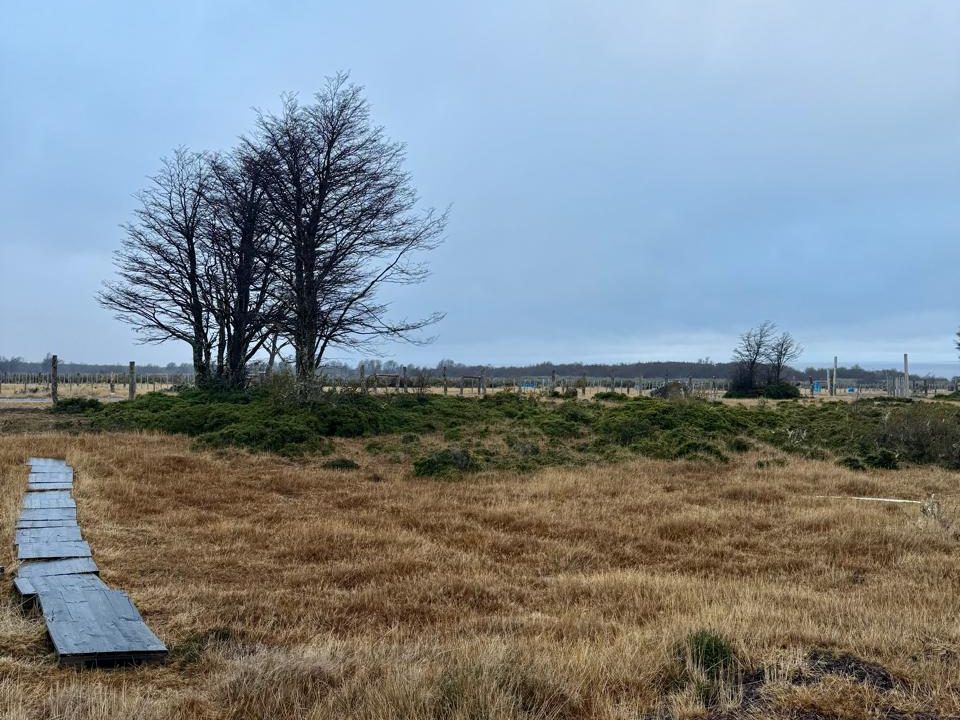 WhatsApp Image 2026-02-04 at 9.30.27 PM