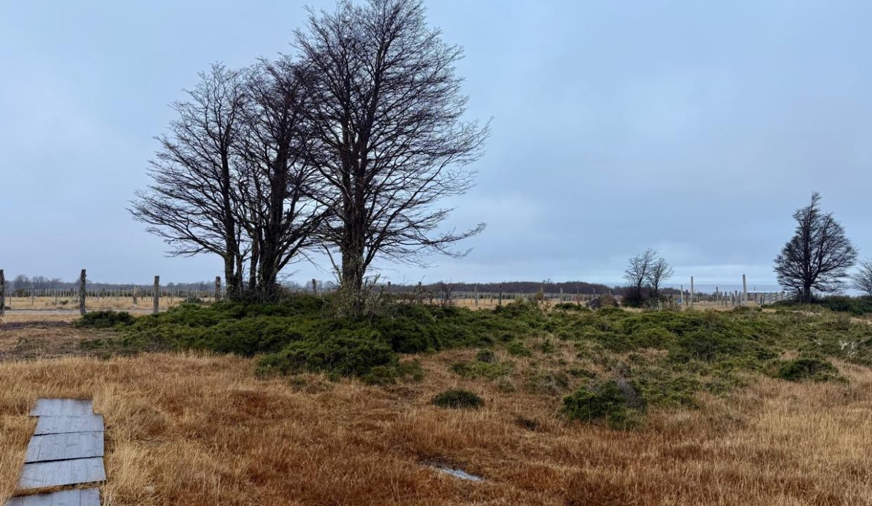 WhatsApp Image 2026-02-04 at 9.30.28 PM