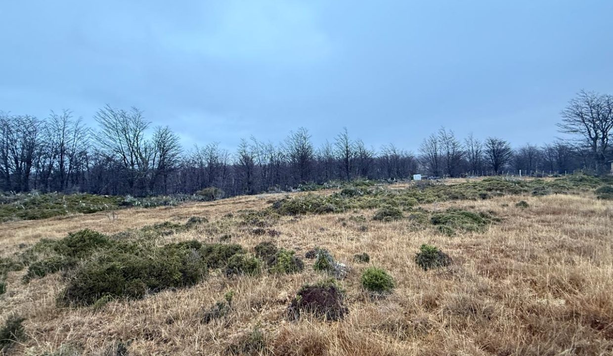 WhatsApp Image 2026-02-04 at 9.30.29 PM (1)