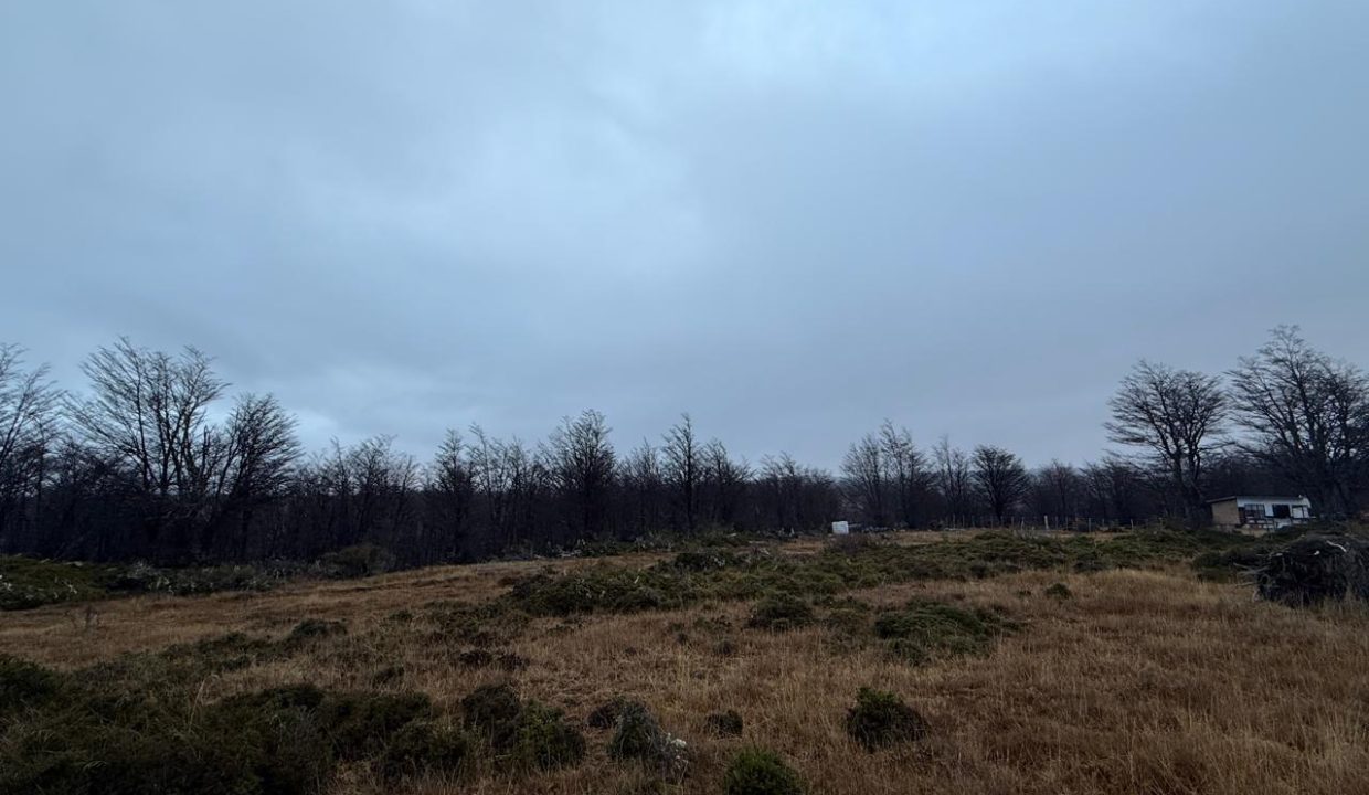 WhatsApp Image 2026-02-04 at 9.30.29 PM