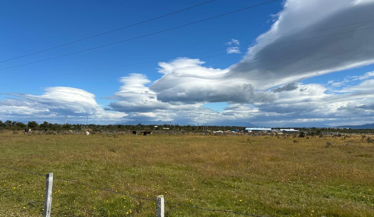 WhatsApp Image 2026-02-09 at 7.00.35 PM (2)