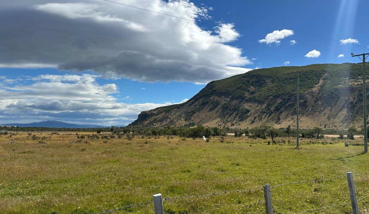 WhatsApp Image 2026-02-09 at 7.00.35 PM (3)