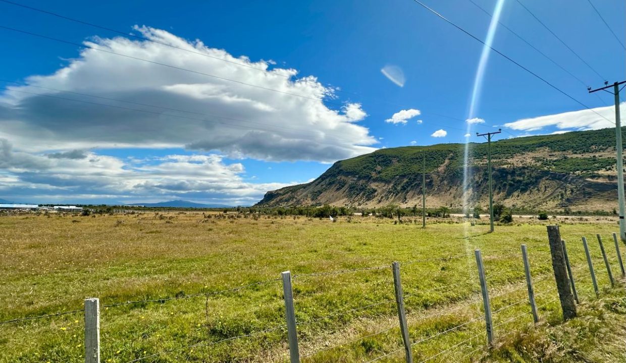 WhatsApp Image 2026-02-09 at 7.00.35 PM (4)