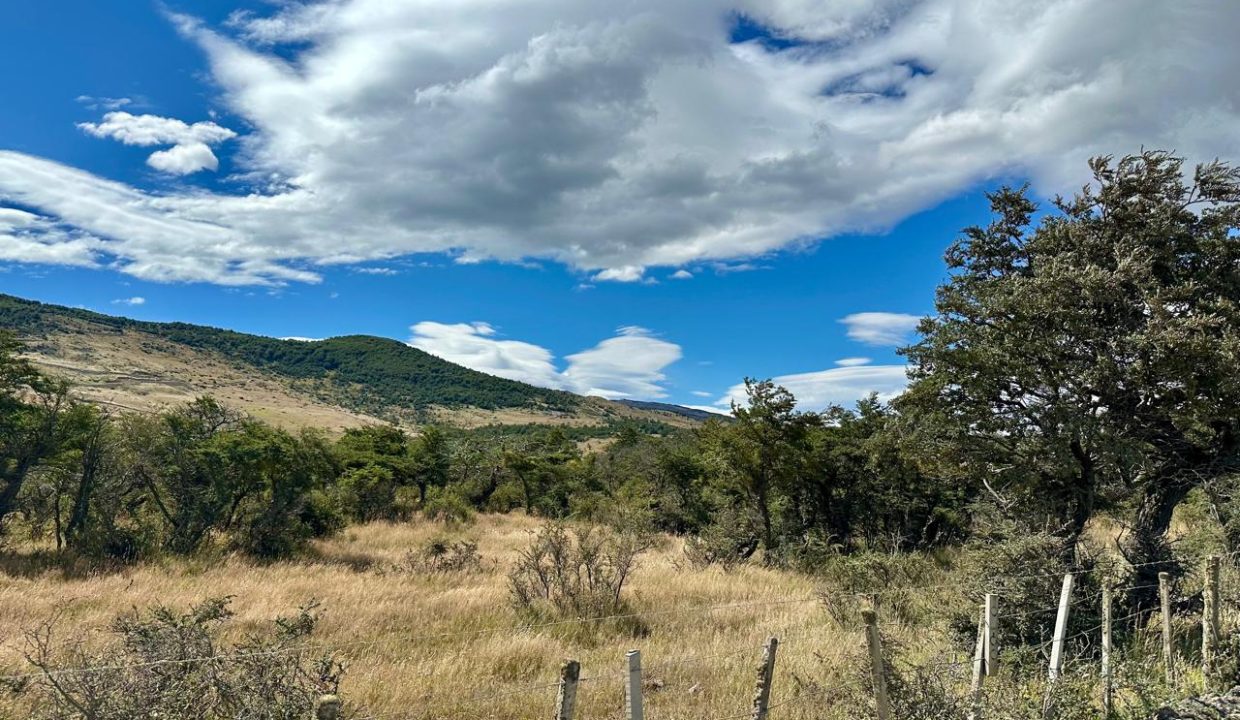 WhatsApp Image 2026-02-09 at 7.00.36 PM (10)