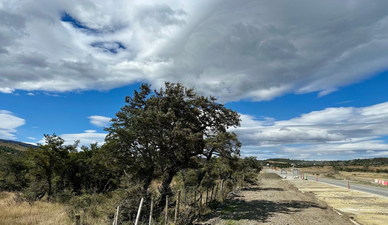 WhatsApp Image 2026-02-09 at 7.00.36 PM (11)