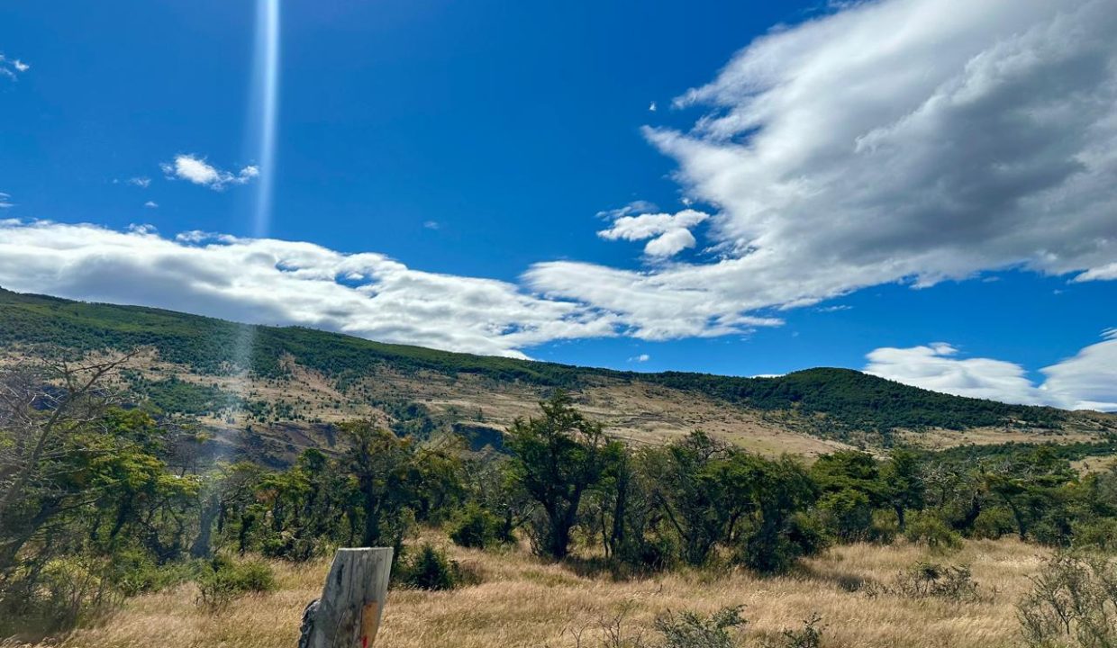 WhatsApp Image 2026-02-09 at 7.00.36 PM (12)