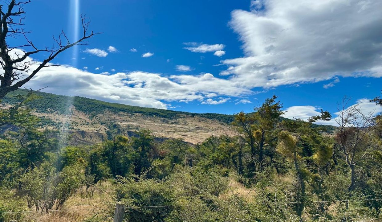 WhatsApp Image 2026-02-09 at 7.00.36 PM (13)